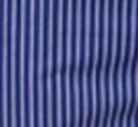 gessato blu